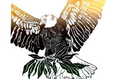 December - Jean W. Smith - National Bird