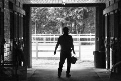 Man carrying a bucket into the out of a shadowy stable entryway.