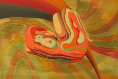 Orange and red patterned woman curled up inside swirling colors.