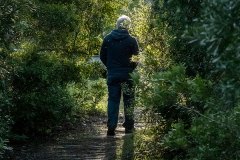 A man walking into a light-flooded clearing out of a showy woodland path.