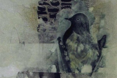 46 mixed media drawing and collage of a bird and calligraphic elements.