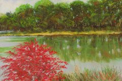 23 pastel drawing of a green waterway with a red bush in the foreground.
