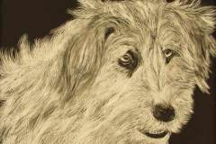 31 black and white rendering of a shaggy friendly dog.