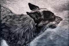 42 a grey dog with medium wabvy fur rendered in black and white.