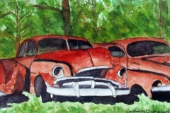 Three rusty vintage cars permanently parked under shade tress.