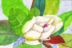 Magnolia and bright green leaves.