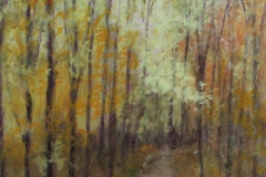Wooded path through woods in the fall.