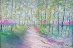 Wooded path through trees and magenta flowering bushes.