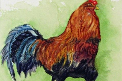 Flamboyant colorful strutting rooster against a bright green background.