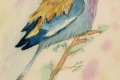 Delicate multi colored bird against a soft pastel background of yellow and magenta.