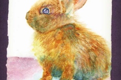 Fluffy baby rabbits with a purple jagged frame.