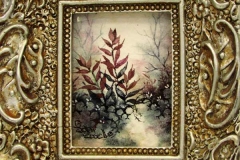 Ornate frame around a whispy Indian paintbrush plant.