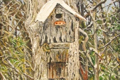 Bird house built into the side of a tree during winter.