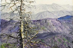 Foreground of bare tree overlooking snowy mountain range.
