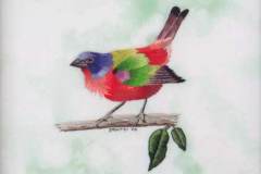 3 - stitched thread rendering os a multi-colored bird with a red breast
