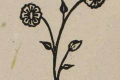 24 - black and white line rendering of a wildflower with two round blooms