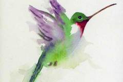41 - a gestural rendering of a purple and green hummingbird