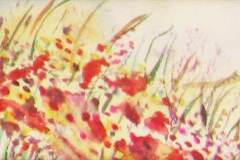 47 - gestural, red and magenta flowers in a field