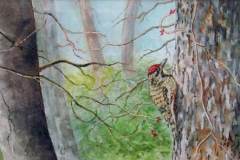 63 - bird wth a red head and yellow breast and a leafless tree trunk