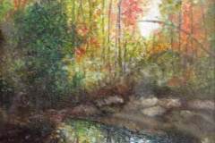 69 - colorful leaved trees along a slow creek in the woods