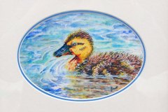 16, An oval painting of a colorful duck floating on bright blue and green water.