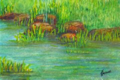 18, a blue green creek flowing through green reeds and brown rocks
