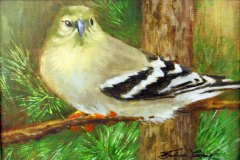 21, Barbara Curry, American Goldfinch, oil on linen