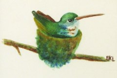 33, A green winged bird sits on a gree and brown nest on a thin branch.