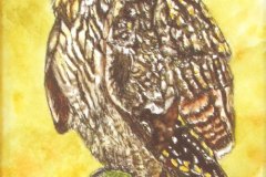 04, a brown owl with red and yellow eyes perches on a fence post