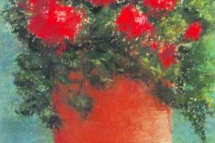 41, red flowers with plentiful green leaves in a terra cotta vase.