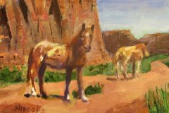 45, two brown and cream horses on a red dirt path along a mesa canyon.