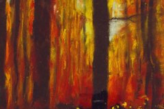 06, a clearing amound black tree trunks with red and yellow light visible in the distance