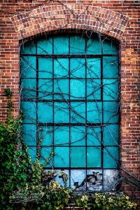 photography by Ellen Devenny