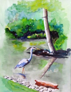 watercolor by Hazel Pearce