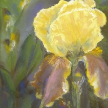 pastel drawing by Ronald Shepard