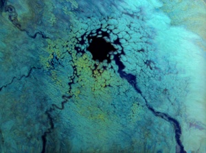 liquid acrylic by Jeanne Hord