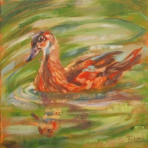 NAT-14_Rosie-Little_Wood-Duck_oil