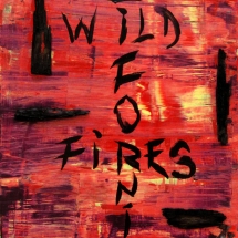 NAT-33_Joseph_Wildfires_acrylic-on-board