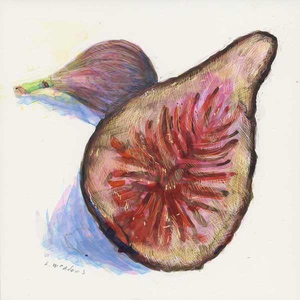 Color scratchboard drawing of "Home Grown Figs" by Lori-McAdams.