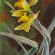 Nat-20_Joan-Fogle_Dancing-Daffodils_pastel