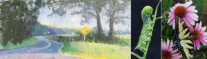 artwork from Nature Reconsidered & Trail at Southern Arts Society.