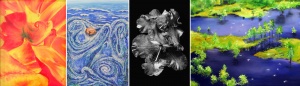 artwork from Nature Reconsidered & Trail at Southern Arts Society.