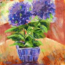 Oil painting of Hydrangea by artist Rosie Little.