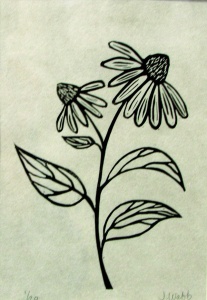 linocut print of echinacea by artist Jenna Webb.