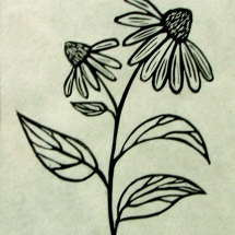 linocut print of echinacea by artist Jenna Webb.