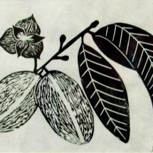 linocut print of paw paws by artist Jenna Webb.