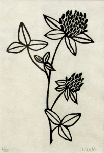linocut print of red clover by artist Jenna Webb.