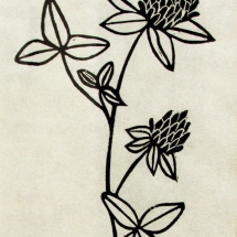 linocut print of red clover by artist Jenna Webb.