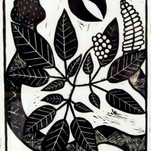 linocut print of sangin ginseng by artist Jenna Webb.