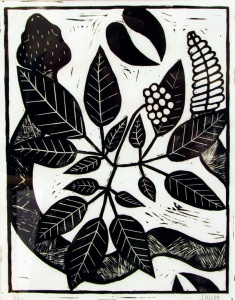 linocut print of sangin ginseng by artist Jenna Webb.